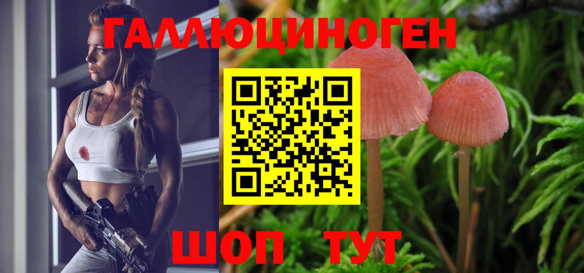 купить закладку  Псилоцибиновые грибы мухоморы  Вход с VPN  Артёмовский  Псилоцибиновые грибы Cubensis 